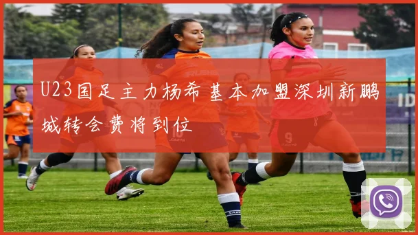 U23国足主力杨希基本加盟深圳新鹏城转会费将到位