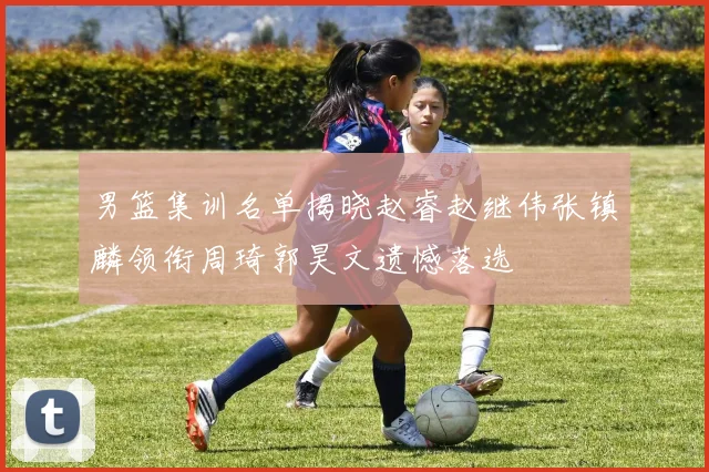 男篮集训名单揭晓赵睿赵继伟张镇麟领衔周琦郭昊文遗憾落选