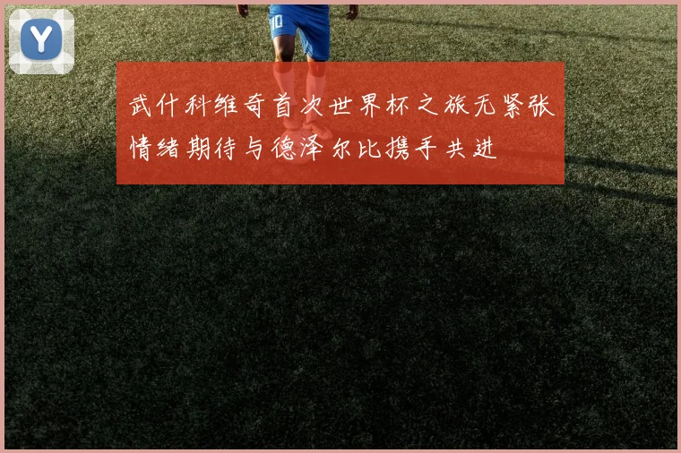 武什科维奇首次世界杯之旅无紧张情绪期待与德泽尔比携手共进